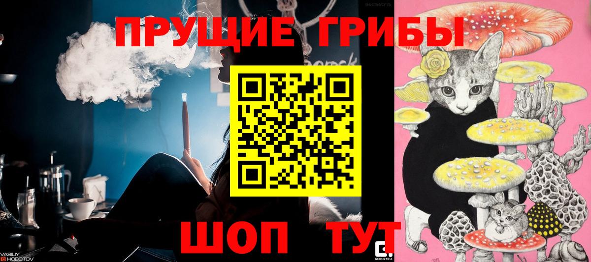 Бахчисарай  Галлюциногенные грибы Psilocybine cubensis  Вход с VPN  Галлюциногенные грибы Cubensis 